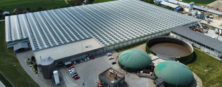 BPS Farma Kameničany – Paradajky pestované energiou z bioplynu